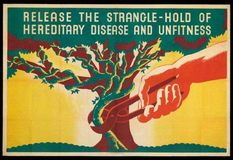 Kerim's Triptych ❧ Eugenics Laws, Rude Notes, Peter Putnam
