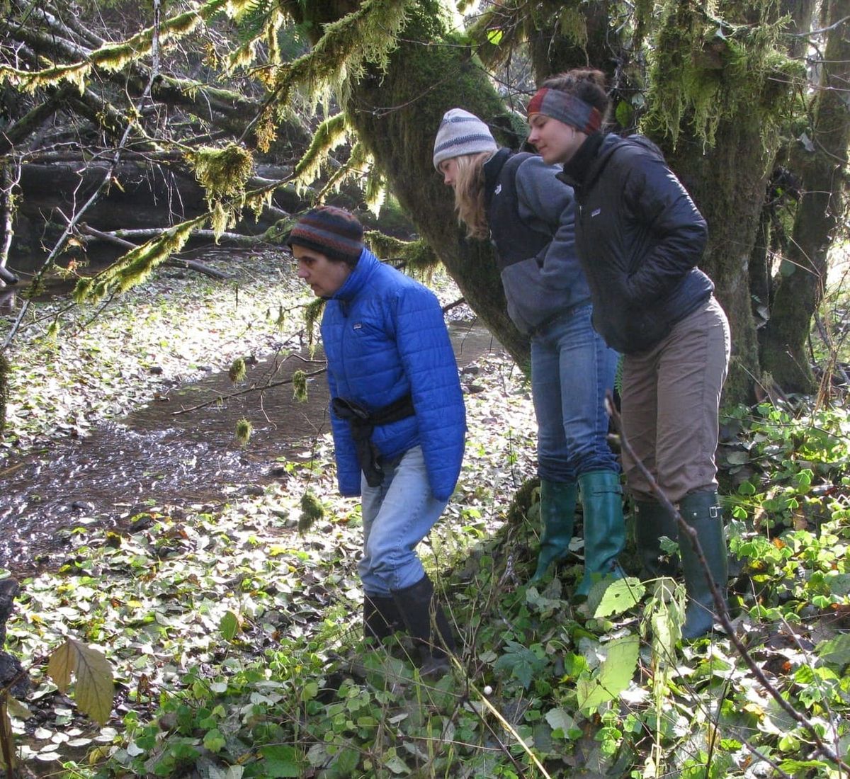 Loss of a Neighbor -