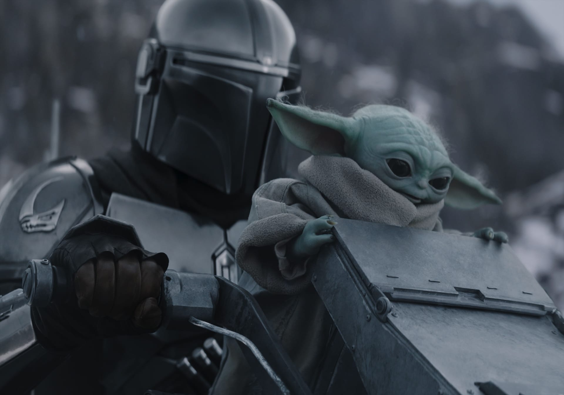 The Mandalorian and Grogu.