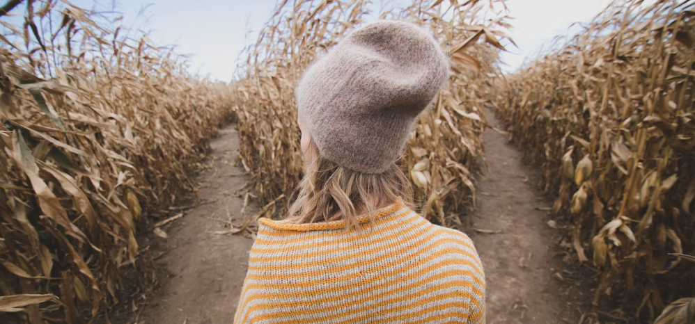 How Every Twitter Alternative Kinda Stinks (So Far)