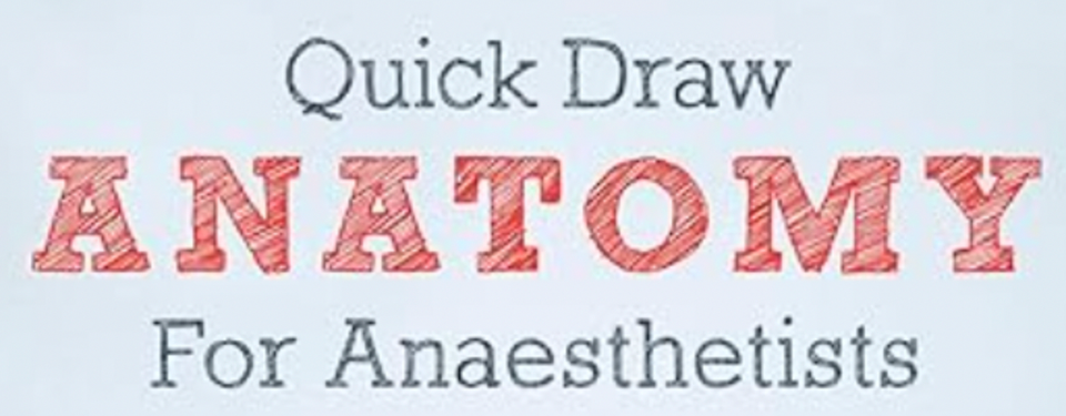 Anatomy - Hypothalamus and Pituitary