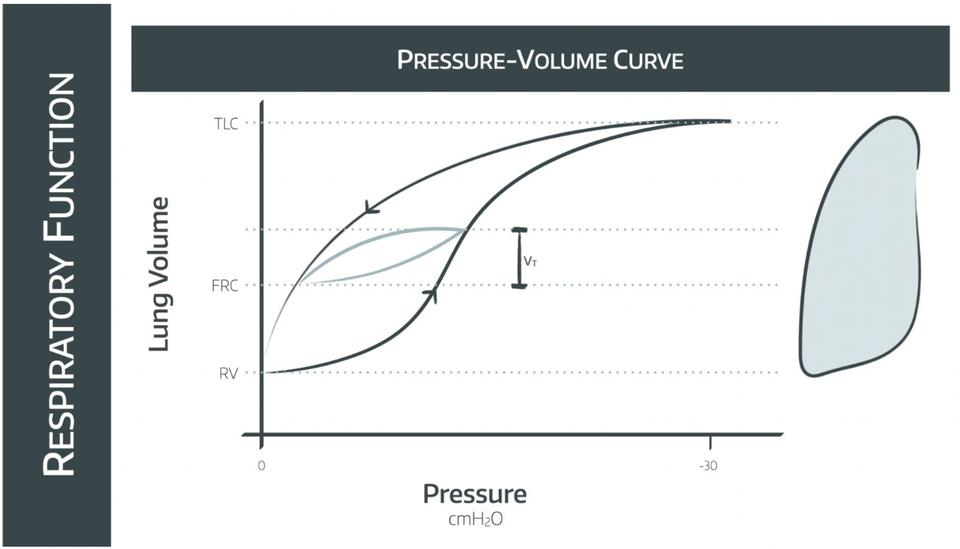 Work of Breathing, compliance and resistance
