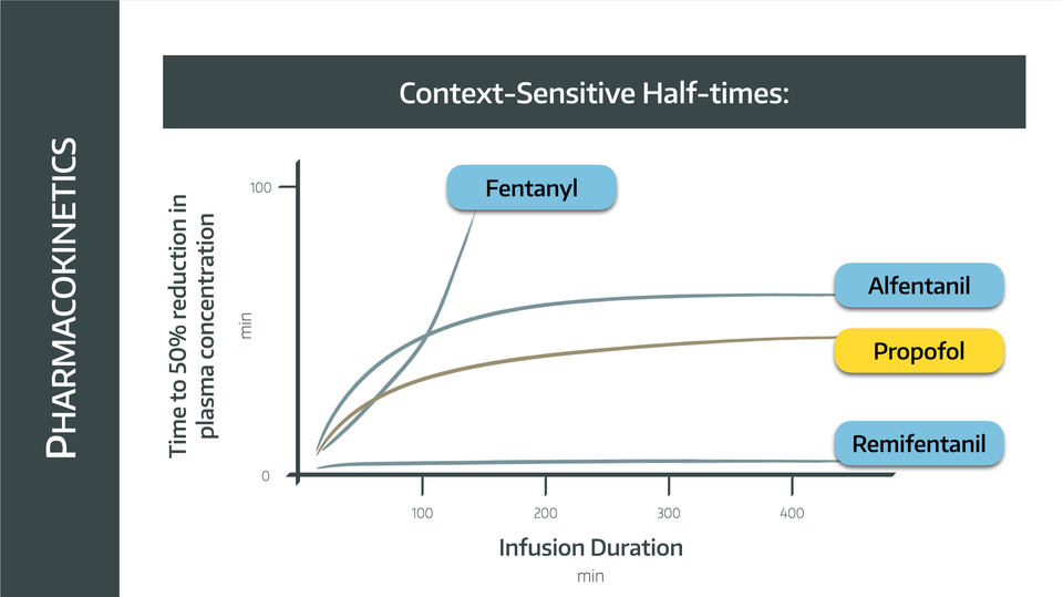 Understanding context-sensitive half-time