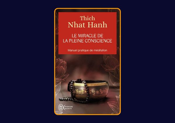 Le miracle de la pleine conscience de Thich Nhat Hanh : Avis honnête - Qu’apprends-tu vraiment dans ce livre ?