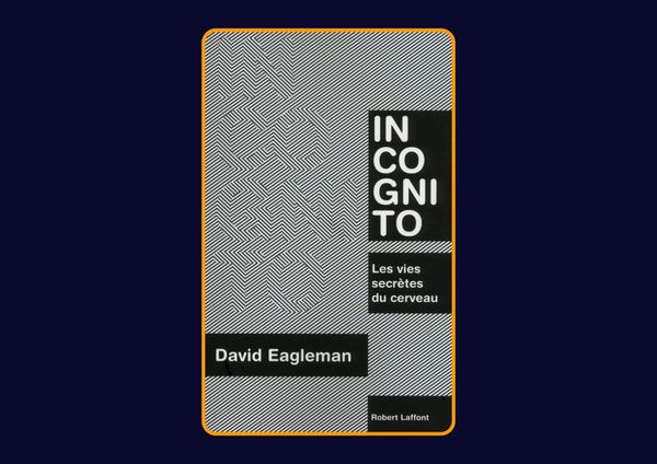 Incognito - Les vies secrètes du cerveau de David Eagleman : Avis honnête - Qu’apprends-tu vraiment dans ce livre ?