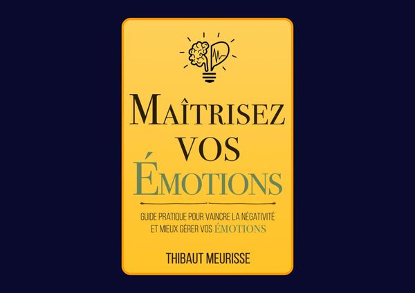 Maîtrisez vos émotions : Guide pratique pour vaincre la négativité et mieux gérer vos émotions de Thibaut Meurisse : Avis honnête - Qu’apprends-tu vraiment dans ce livre ?