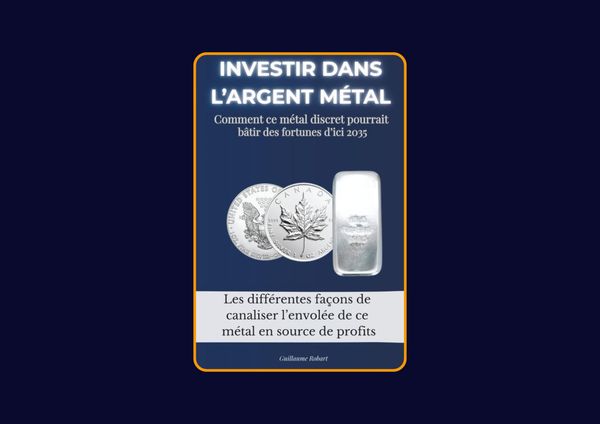 Investir dans l'argent métal de Guillaume Robart : Avis honnête - Qu’apprends-tu vraiment dans ce livre ?