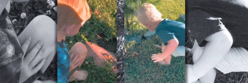 Bug Hotel Census!
