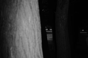 2008041430