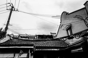 2008081613