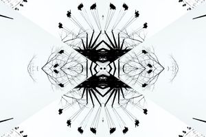 Nest Wonderland