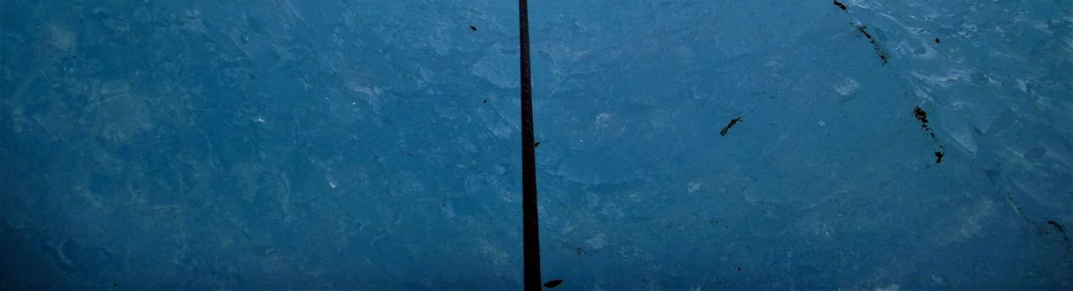 Persistent gravity anomaly detected beneath Antarctic ice sheet