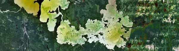 FILE_SV-001: Lake Abitibi History — Indigenous Roots, Colonial Expansion, and Environmental Change