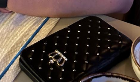 Anita's phone case