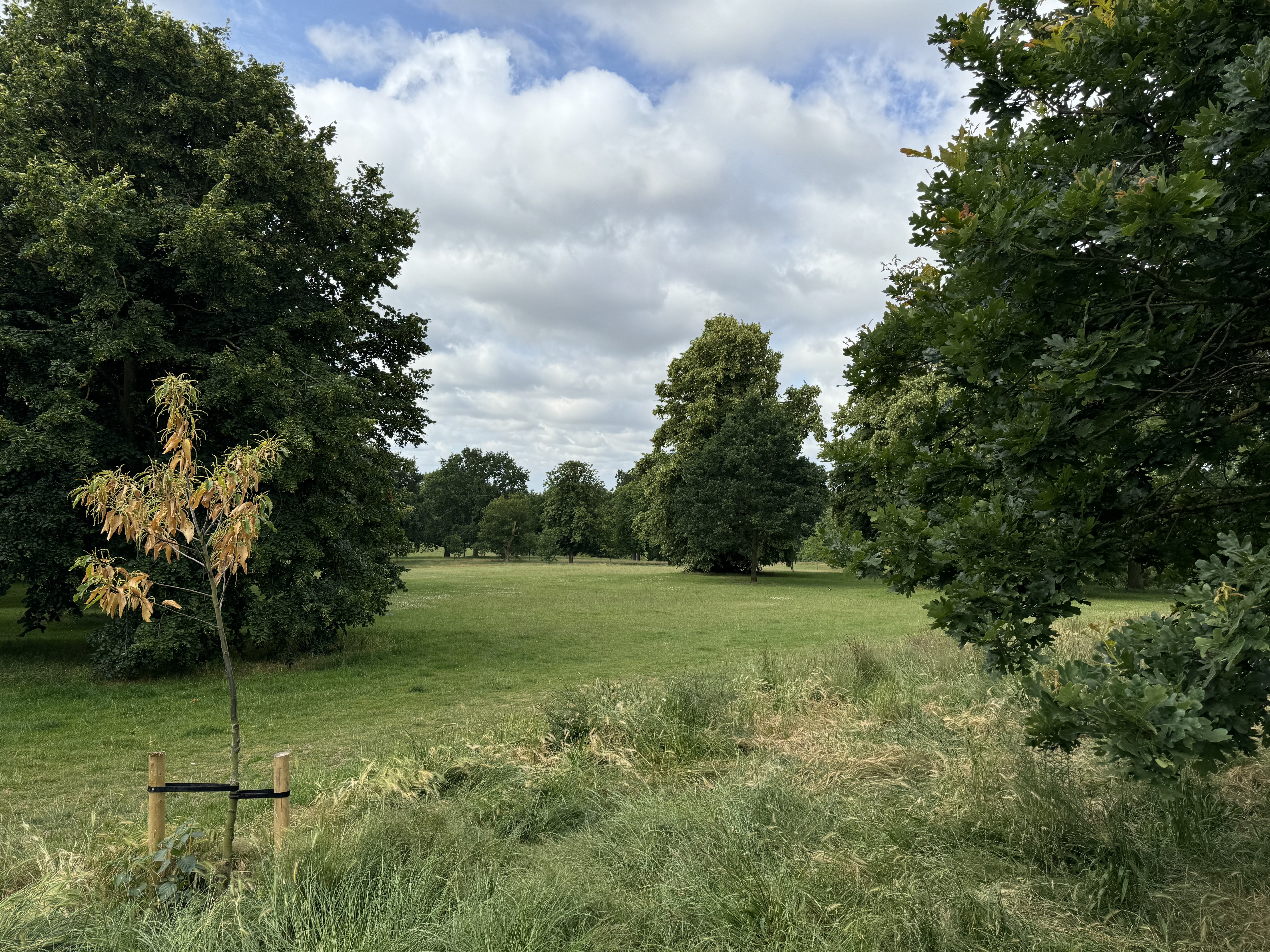 Christchurch park