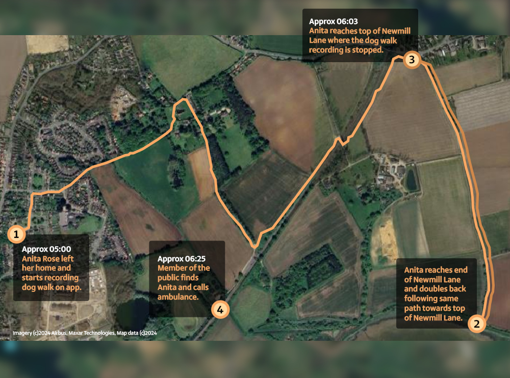 A map of Anita's movements