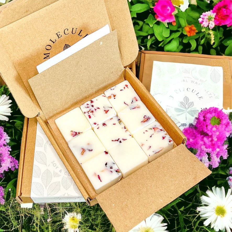 Wax melts by Molecule
