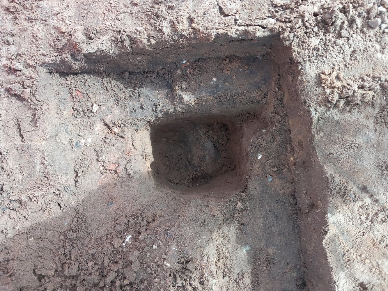A remarkable hoard of more than 300 silver coins from the 11th century was unearthed during construction work at Suffolk's Sizewell C nuclear power station site