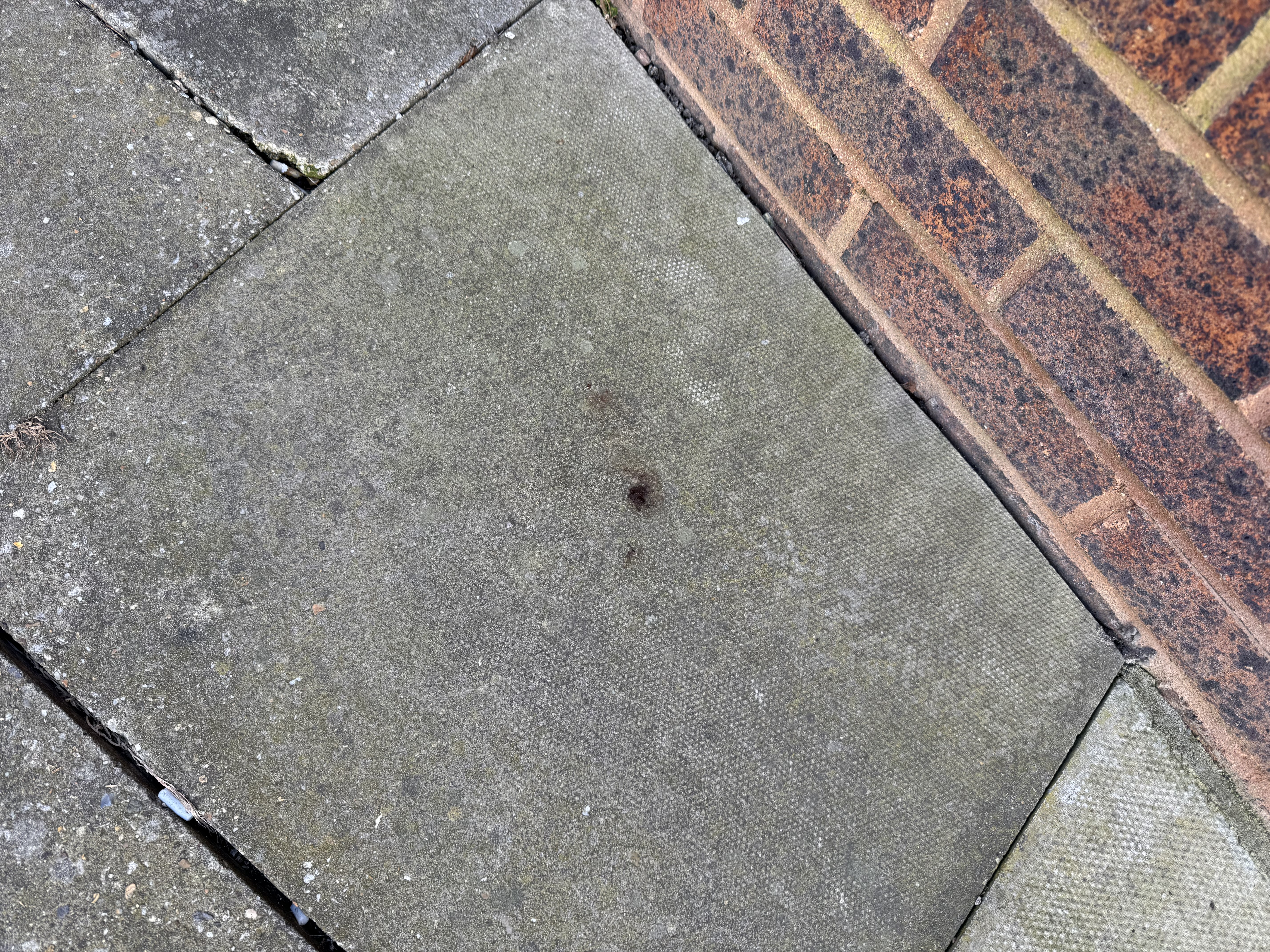 All that remains of the poo laid at the doorstep of the Ipswich Star