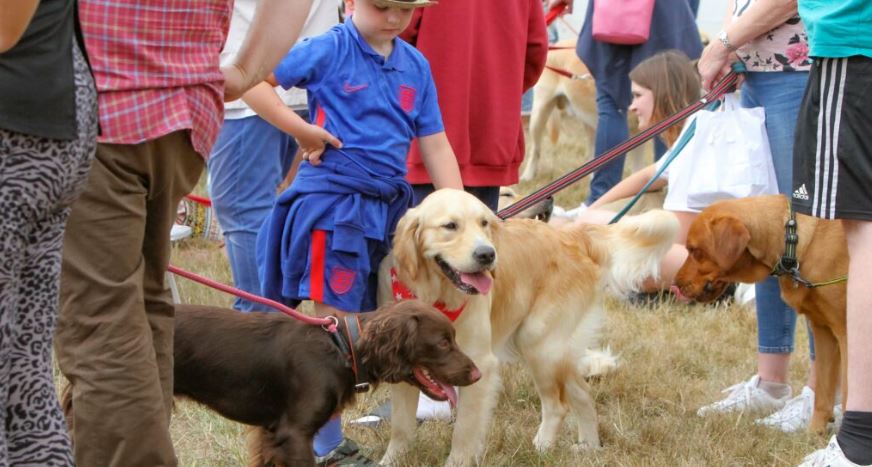 Suffolk Dog Day in 2024