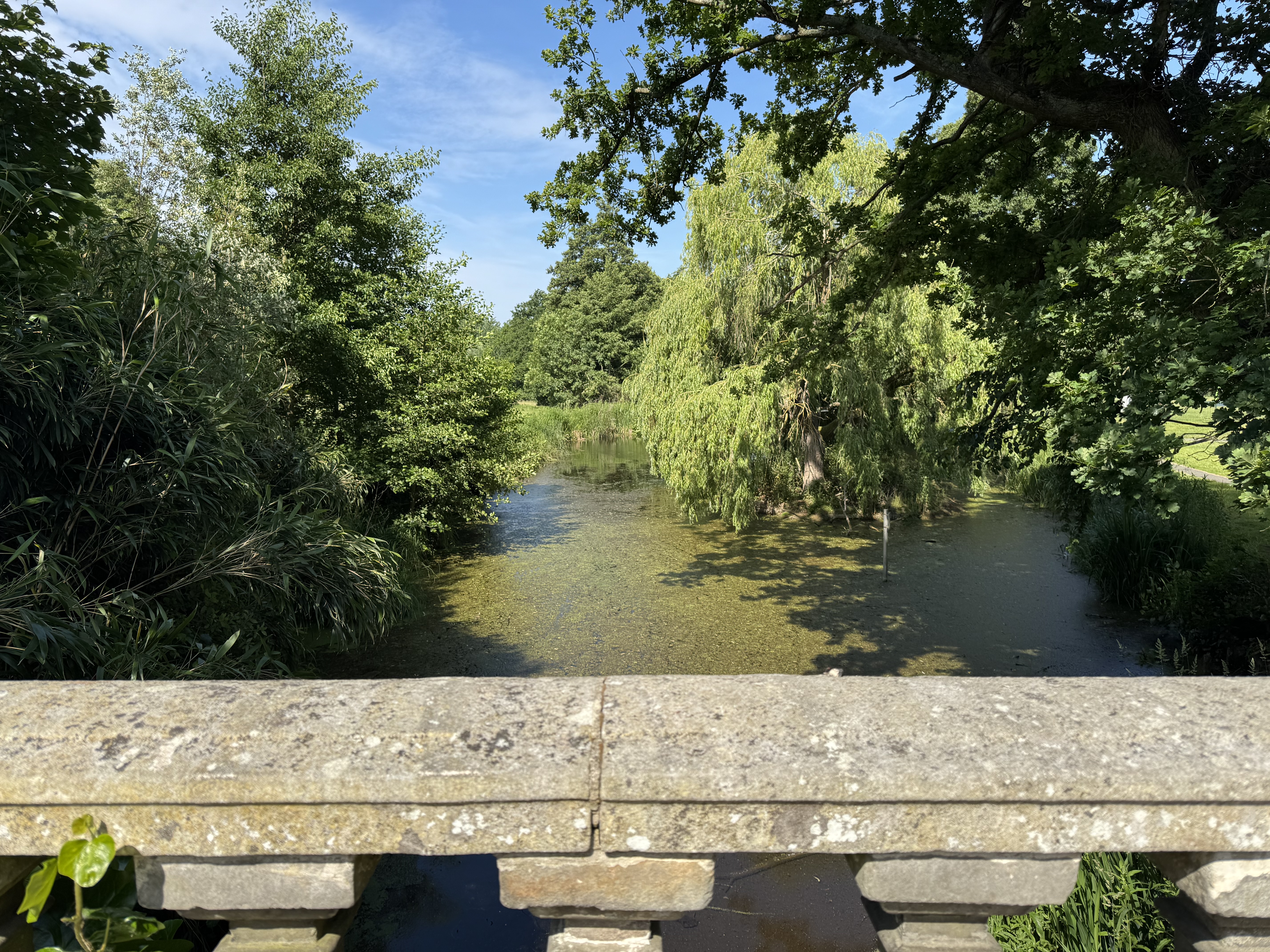 Looking out onto the water at Holywells Park in Ipswich
