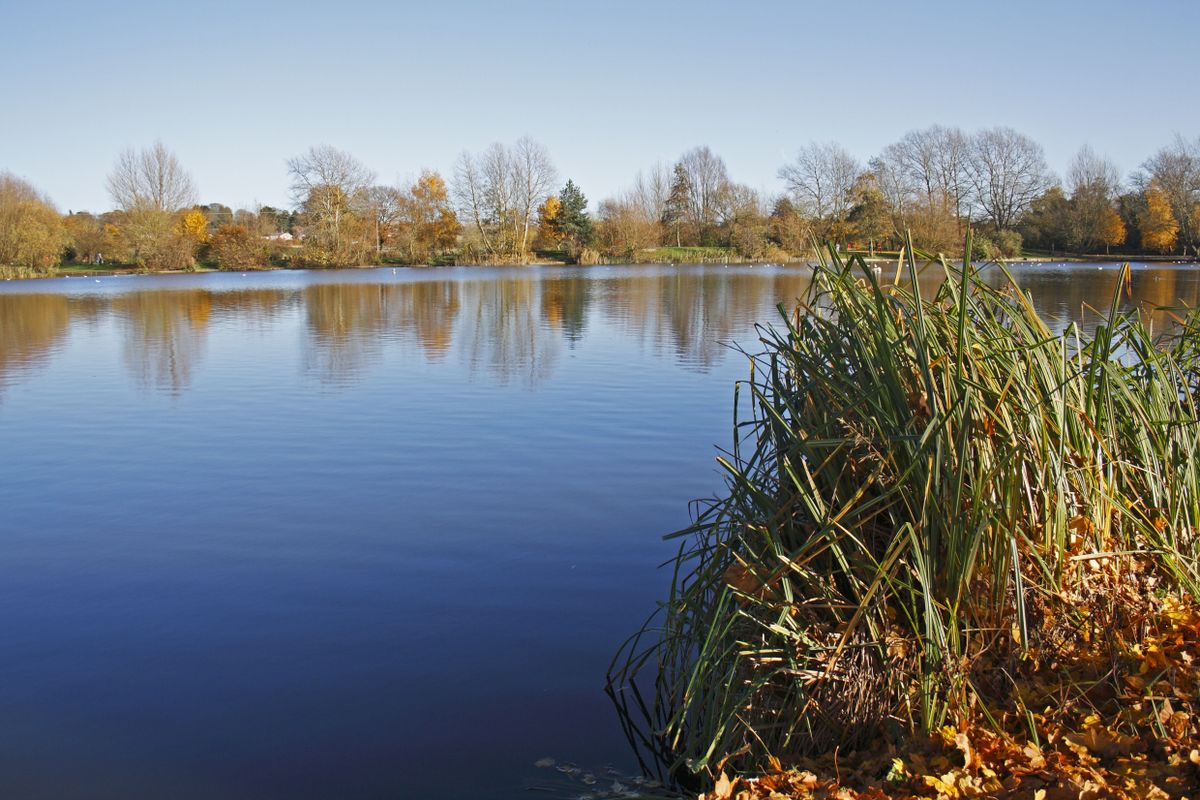 Needham Lake