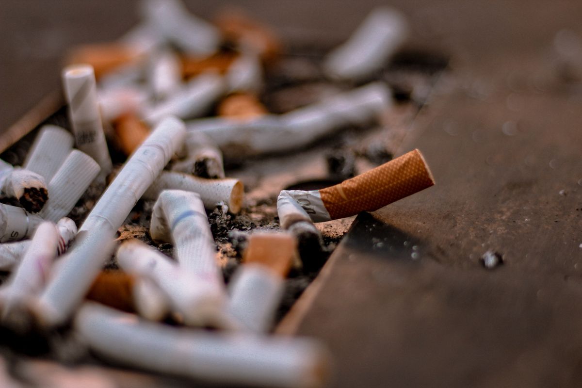 Cigarette stubs in an ash tray