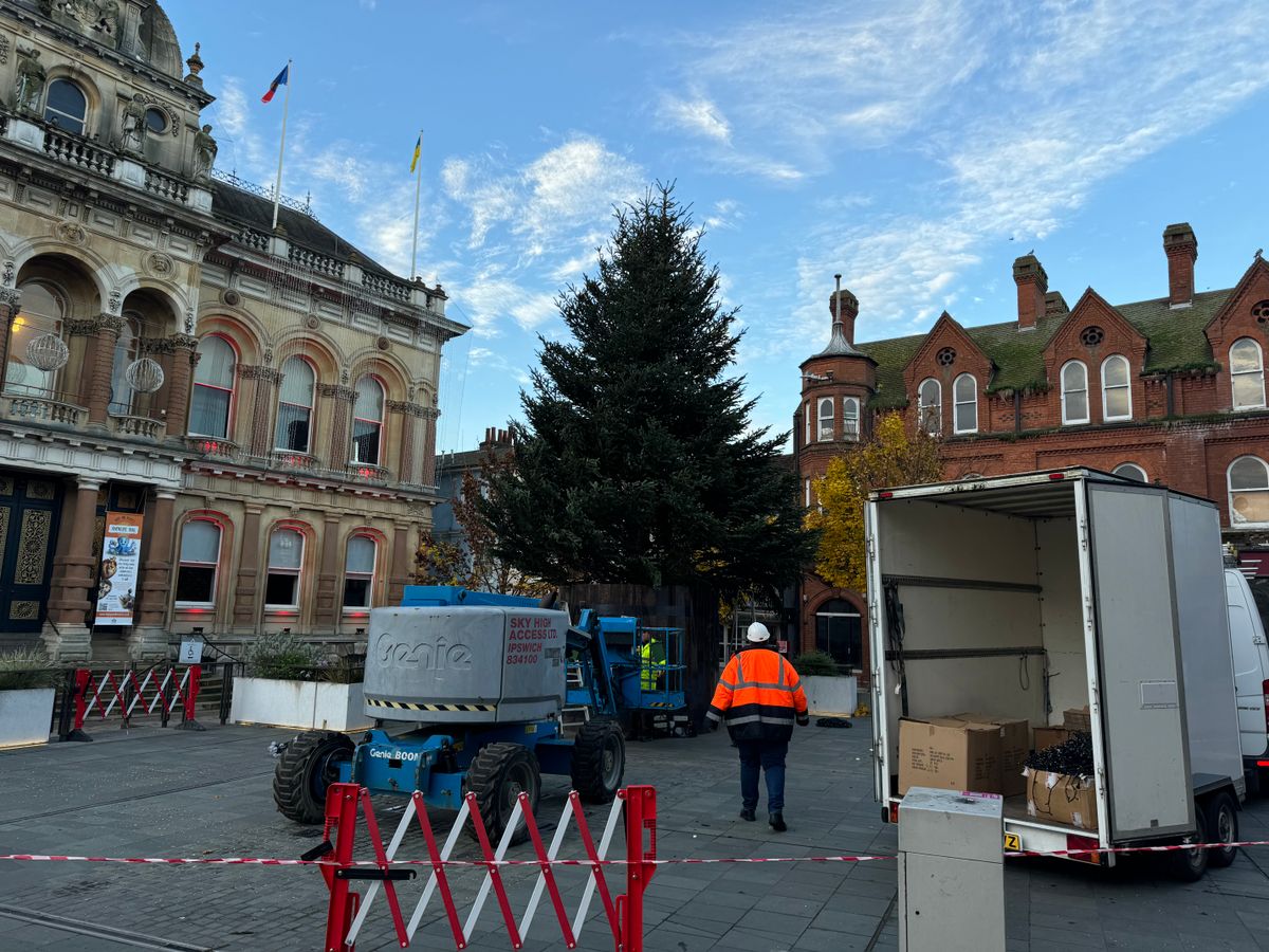 A 40ft Christmas tree being erected on the Cornhill in Ipswich