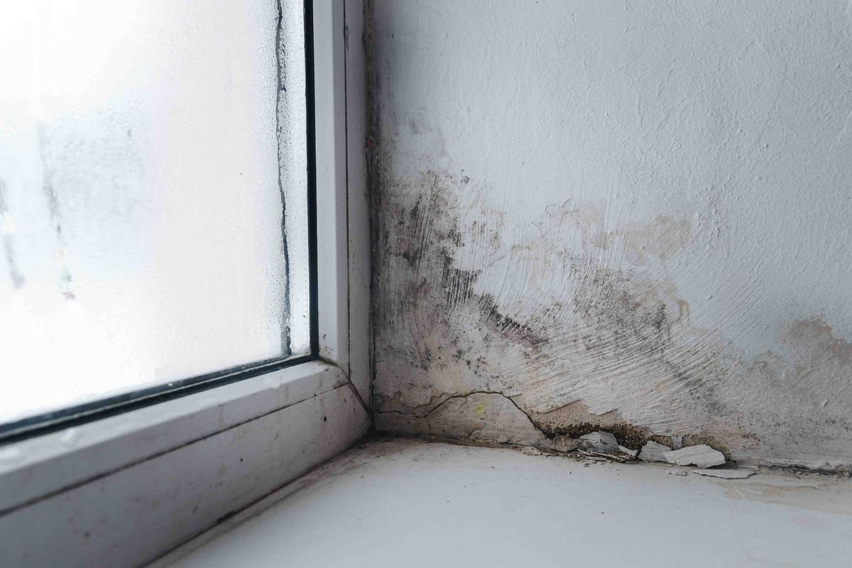 Mould in window
