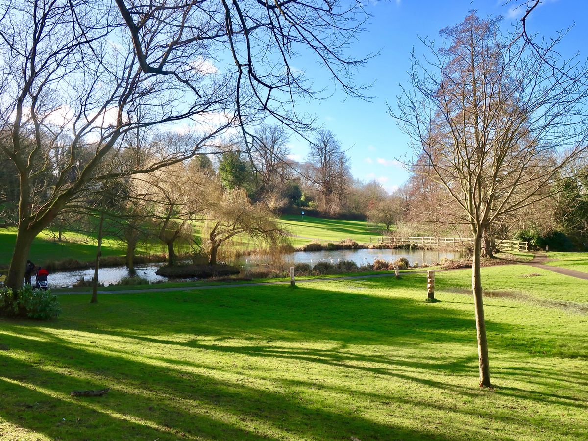A sunny day in Holywells Park, featuring grass and a pond