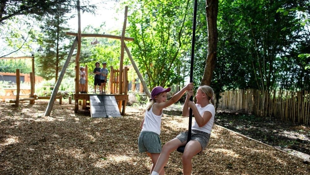 Four-acre woodland playground opens near Ipswich