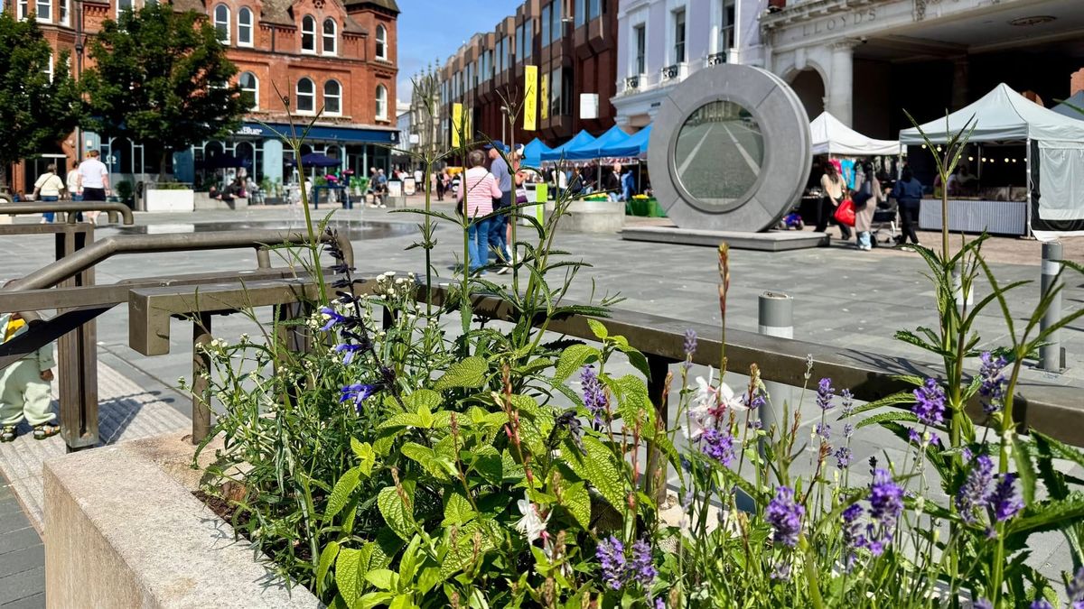 Council votes to back Ipswich Central in BID ballot