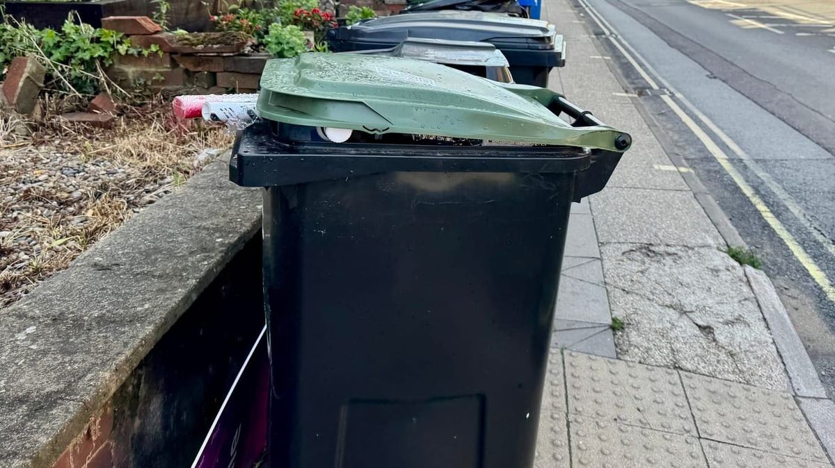 Leaked report exposes depth of East Suffolk's bin crisis