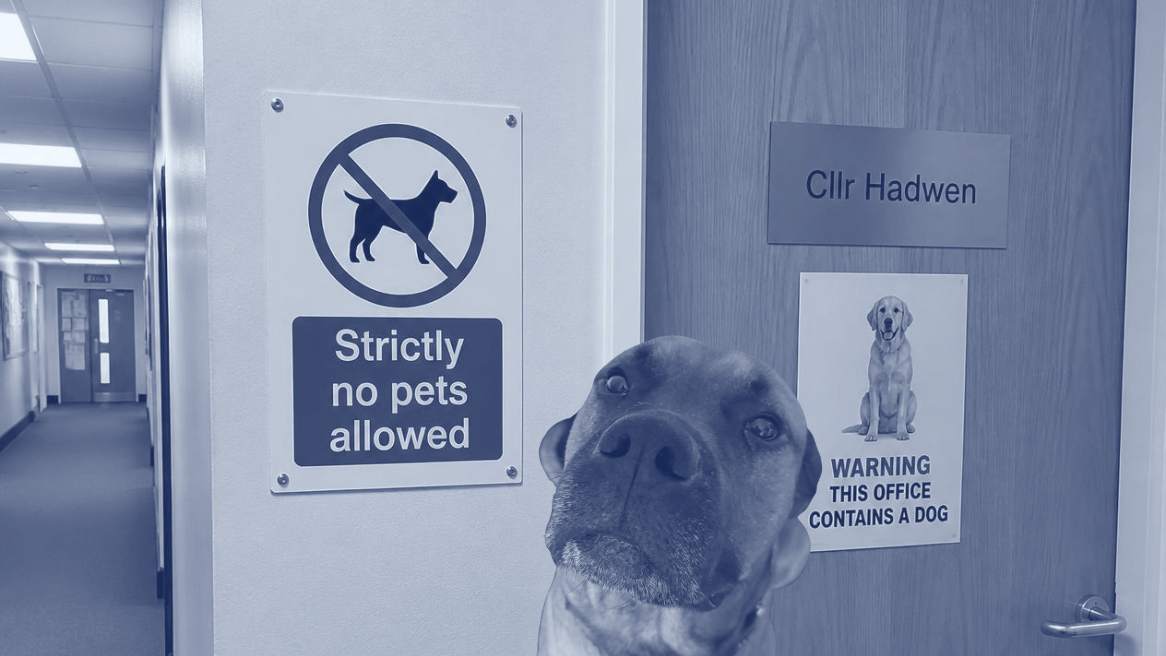 Who kicked the dogs out...but let Waffles in?