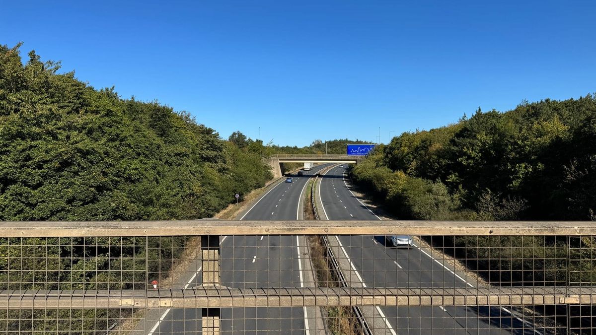 Broken down again – Suffolk firms asked to prove the cost