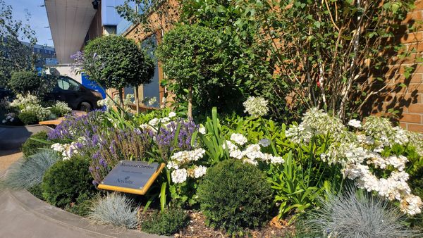 The ITFC Garden of Remembrance