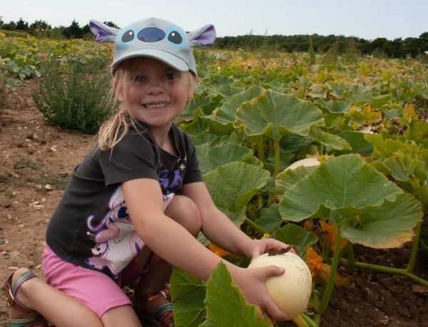Farmer John's Pumpkin Patch