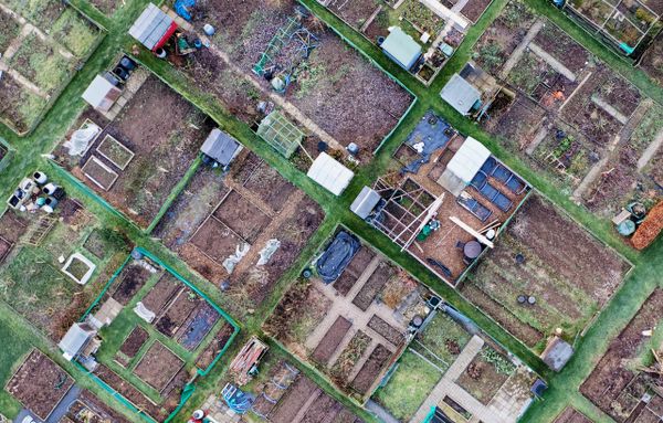 Drone shot of allotment plots