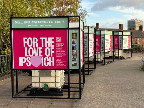Four giant exhibition cubes have been installed outside the New Wolsey Theatre in Ipswich to showcase local initiatives and celebrate the town