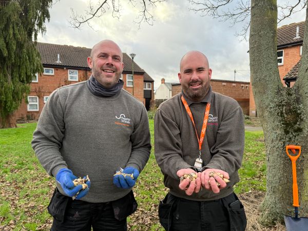 Newtide Homes neighbourhood officers Simon Ford and Jason Brett plant bulbs at a Flagship-owned green space off Bloomfield Street, Ipswich.