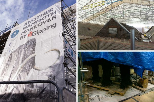A collage of pictures of the Ipswich Museum renovation project