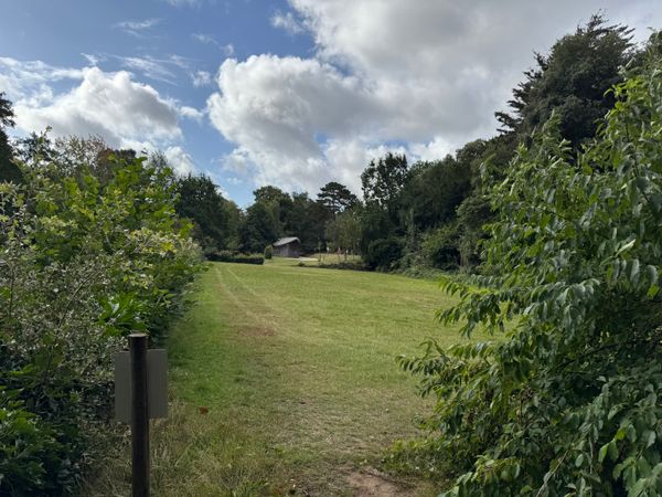 The former croquet lawn at Christchurch Park in Ipswich