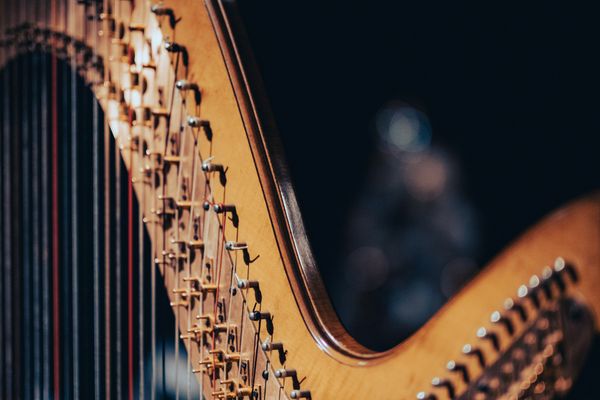 A close-up of a harp