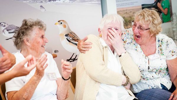 Creativity and Wellbeing Week returns to Suffolk with 'Critical Hope' theme