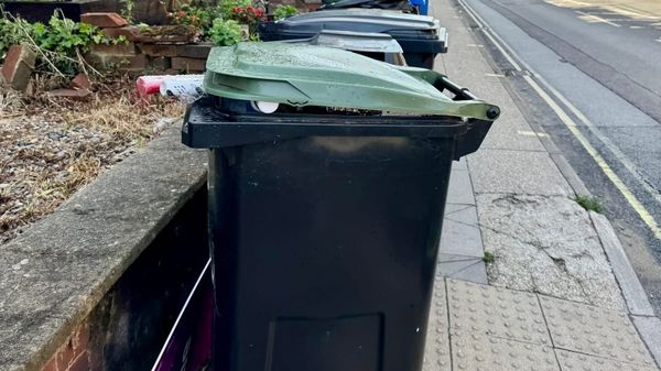 Leaked report exposes depth of East Suffolk's bin crisis