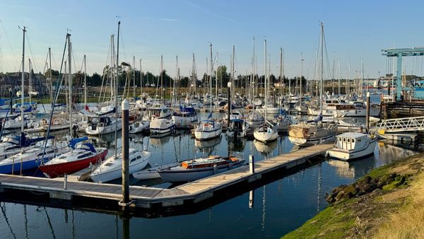 Historic WWII boat's Ipswich cruise business for sale