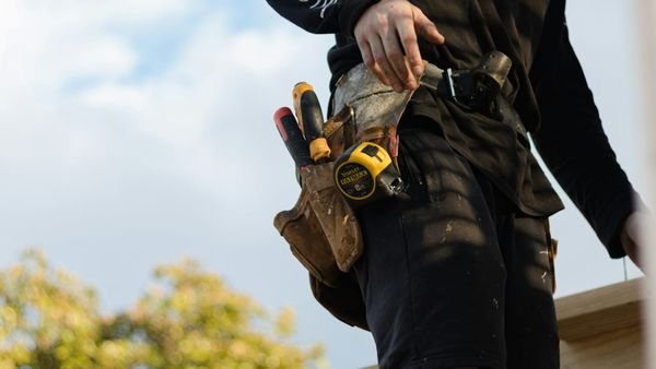 'Cowboy traders have been allowed to operate with impunity,' says Ipswich MP