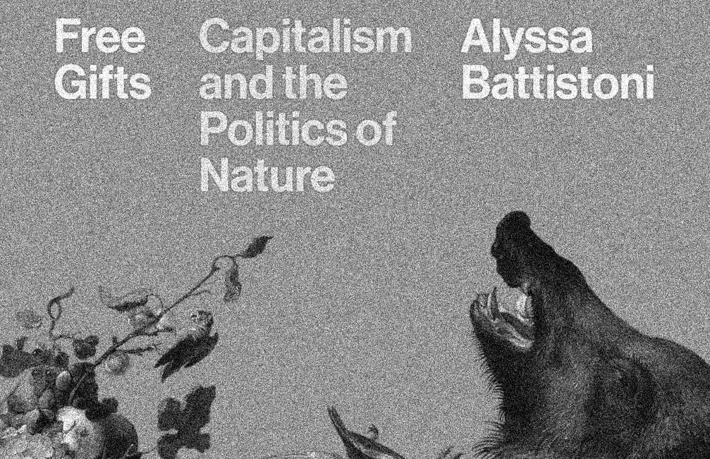 Freedom in the Abstract