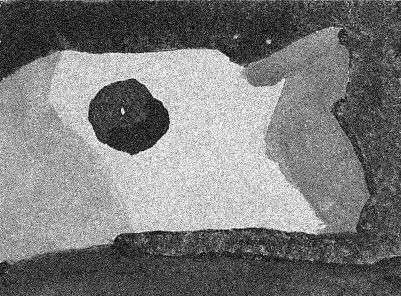 Technocracy’s End-of-Life Rally