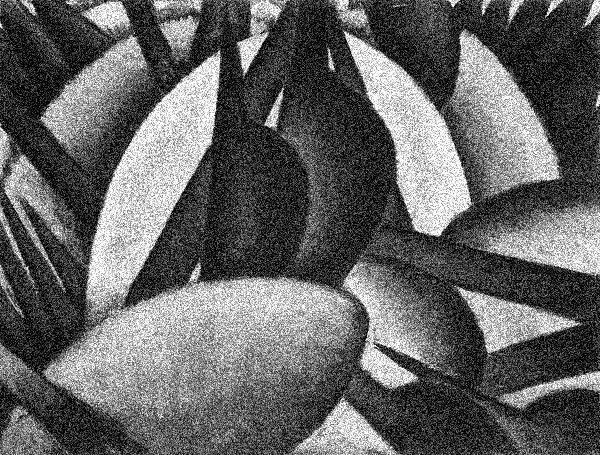 Render unto Ourselves, What is Ours—or Caesar Will Seize It